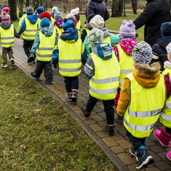 Kindergarten on walk